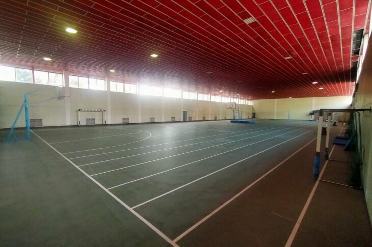PALESTRA6
